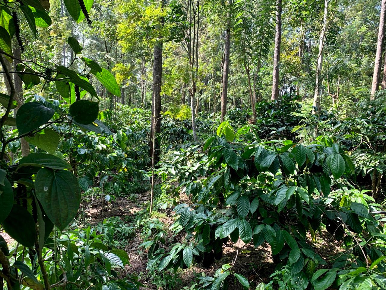 Fresh produce sourcing region