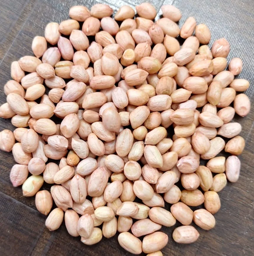 Indian raw peanut kernels
