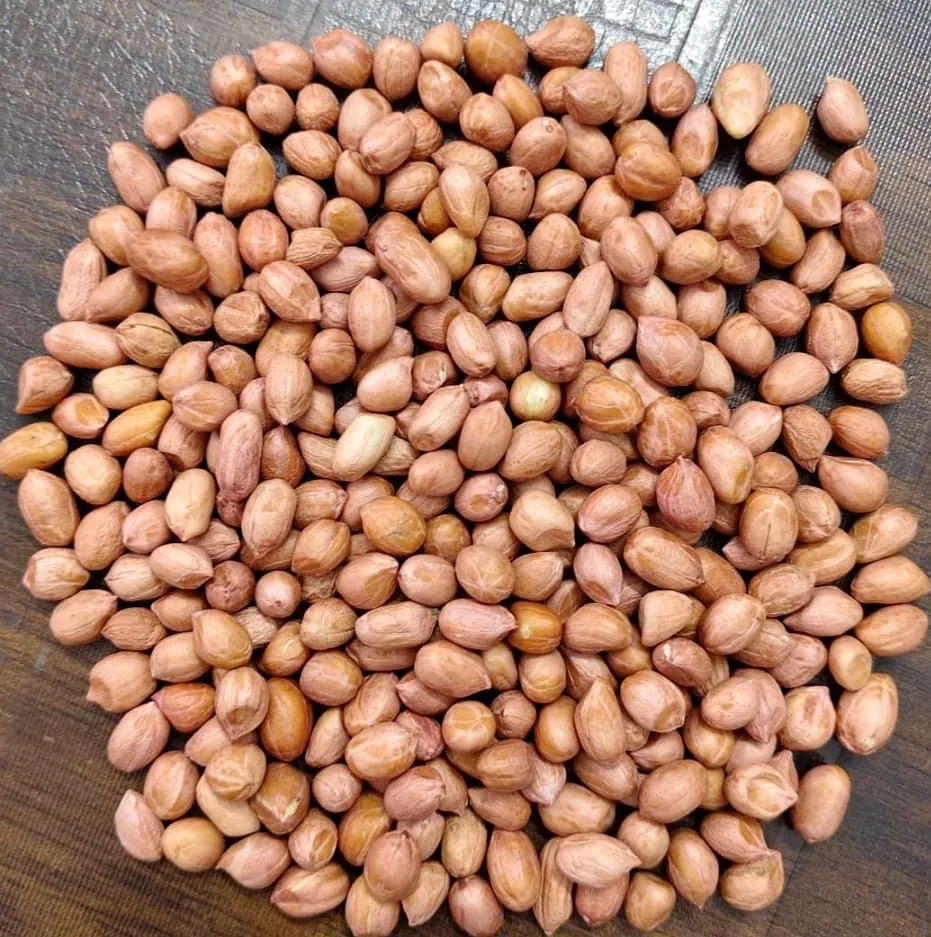 Indian raw peanuts